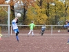 Findungsrunde F-Jugend: Wambeler SV - ASC 09 Dortmund II (10.11.2012) 