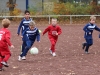 Findungsrunde G-Jugend: Wambeler SV - SV Brackel 06 II (10.11.2012)