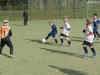 Fußball G-Jugend: Herbstturnier beim BV Herne-Süd (06.10.2012)