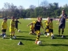 Fußballtraining: Wambeler U8 besetzt BVB Evonik-Fußballschule (21.04.2015)