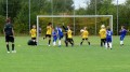 F-Jugend Pokalspiel: Post und Telekom SV - Wambeler SV