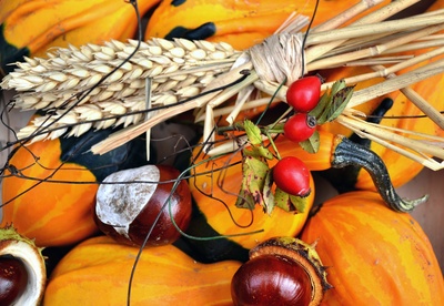 Foto: Andreas Hermsdorf / pixelio.de