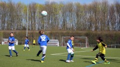 Testspiel F-Jugend: SV Westfalia Huckarde II - Wambeler SV II